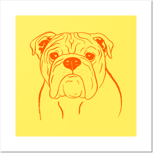 English Bulldog (Yellow and Orange) Posters and Art